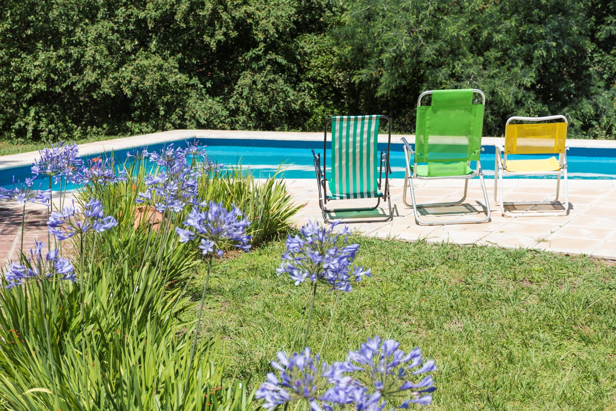 folding-chairs-near-pool-lawn-yard.jpg